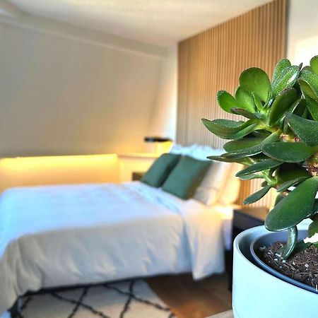 Suite Dernier Etage Saint-Maur La Madeleine  Luaran gambar